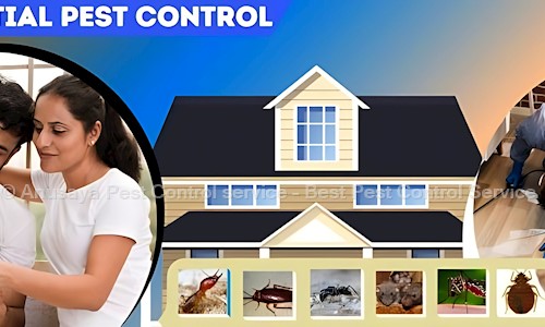 Anusaya Pest Control service - Best Pest Control Service - Pest Control in Nayapalli, Bhubaneswar