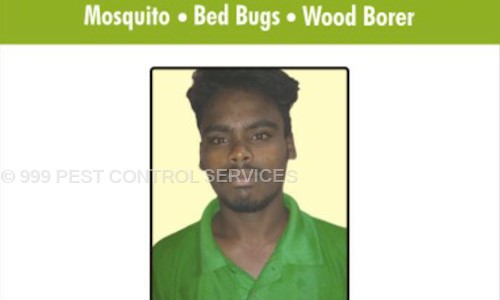 999 PEST CONTROL SERVICES - Pest Control in Basheerbagh, Hyderabad