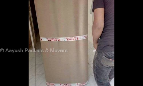 Aayush Packers & Movers - Packers and Movers in Kudlu Gate, Bangalore