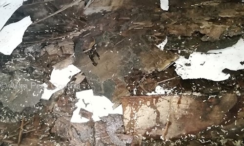 Arka Pest Control - Pest Control in Kamalapuri Colony, Hyderabad