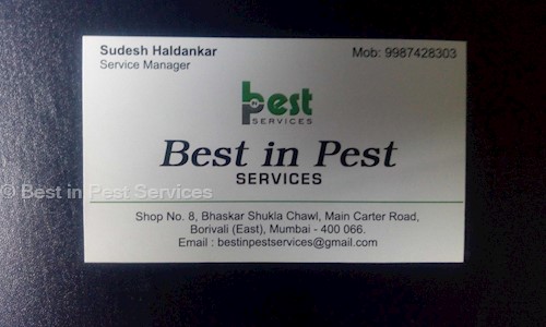 Best in Pest Services - Pest Control in Borivali East, Mumbai