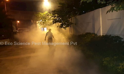 Eco Science Pest Management Pvt. Ltd. - Pest Control in Secunderabad, Hyderabad