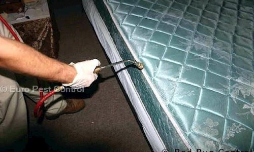 Euro Pest Control - Pest Control in Dhakuria, Kolkata