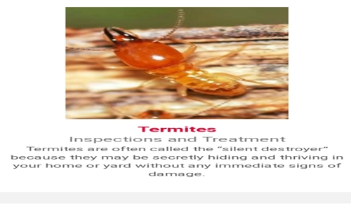 Fauz Pest control - Pest Control in Okhla, Delhi