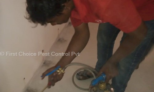 First Choice Pest Control Pvt. Ltd - Pest Control in Kukatpally, Hyderabad