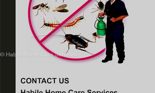 Habile Home Care Services - Pest Control in Chandlodia, Ahmedabad