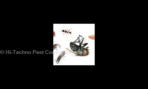 Hi-Techno Pest Control Services - Pest Control in Mudichur, Chennai