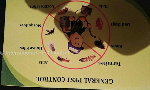 International Pest Control - Pest Control in Dombivali East, Mumbai