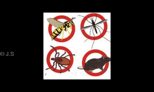 J.S. Pest Control Services - Pest Control in Jamia Nagar, Delhi
