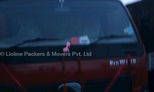 Lioline Packers & Movers Pvt. Ltd. - Packers and Movers in Bomikhal, Bhubaneswar