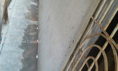 Lucky Pest Control - Pest Control in Auto Nagar, Visakhapatnam