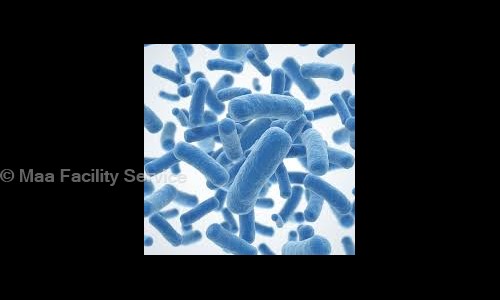 Maa Facility Service - Pest Control in Garia, Kolkata