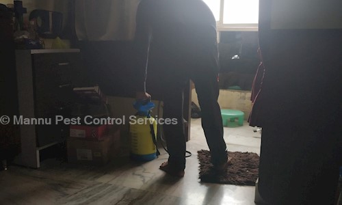 Mannu Pest Control Services - Pest Control in Alamganj, Patna