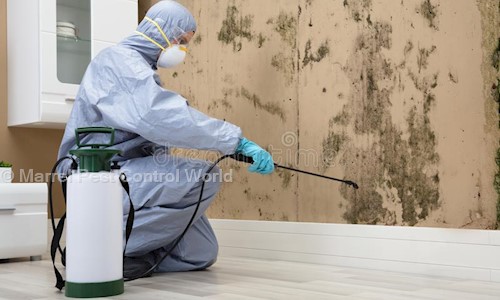 Marrel Pest Control World - Pest Control in Govindpuri, Delhi