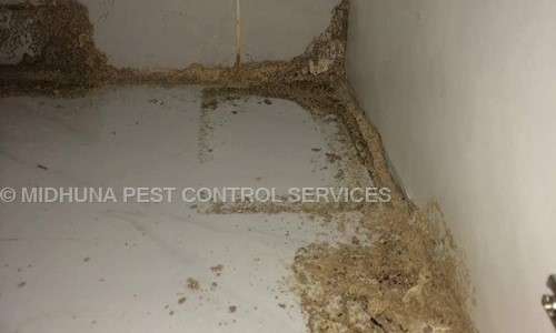 MIDHUNA PEST CONTROL SERVICES - Pest Control in Saidabad, hyderabad