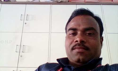 N.P. Enterprises - Packers and Movers in Hadapsar, Pune