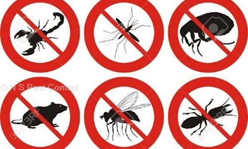 N S Pest Control - Pest Control in Ghatkopar West, Mumbai