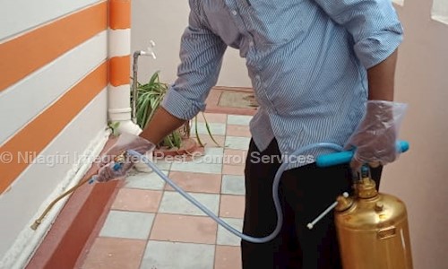 Nilagiri Integrated Pest Control Services - Pest Control in Hastinapuram, Hyderabad