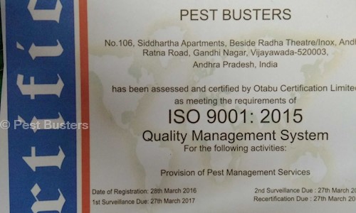 Pest Busters - Pest Control in Eenadu To Gurudwara Road, Visakhapatnam