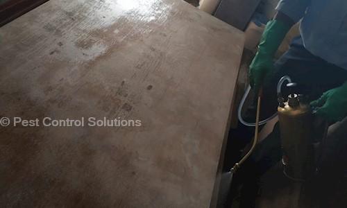 Pest Control Solutions - Pest Control in Andheri East, Mumbai