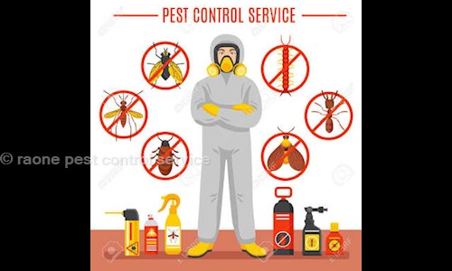 raone pest control service - Pest Control in Kengeri Satellite Town, bangalore