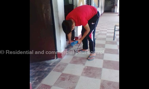 Residential and commercial pest control - Pest Control in Nainital Road, Haldwani