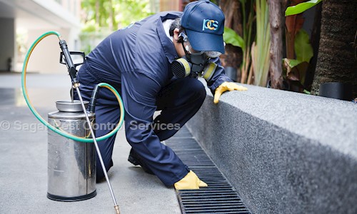 Sagar Pest Control Services - Pest Control in Sabarmati, Ahmedabad