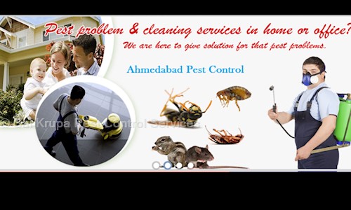 Sai Krupa Pest Control Services - Pest Control in Usmanpura, Ahmedabad