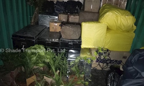 Shade Transport Pvt. Ltd. - Packers and Movers in Lucknow Road, Lucknow