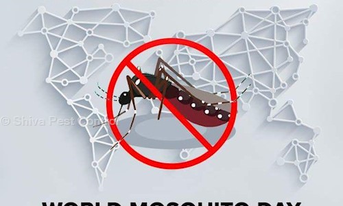 Shiva Pest Control - Pest Control in Tollygunge, Kolkata