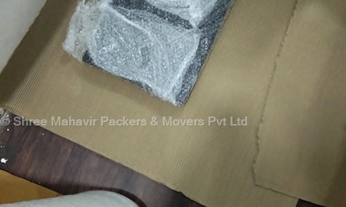 Shree Mahavir Packers & Movers Pvt. Ltd. - Packers and Movers in Kandivali East, Mumbai