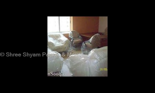Shree Shyam Packer & Mover - Packers and Movers in Kadodara, Surat