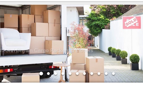 Shri Shyam Cargo Packers & Movers - Packers and Movers in Vishwakarma Industrial Area, Jaipur