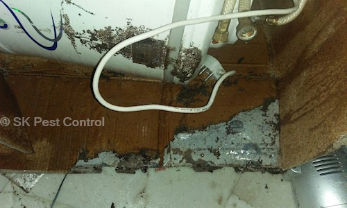 SK Pest Control - Pest Control in Mehdipatnam, Hyderabad