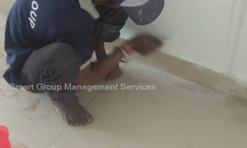 Smart Group Management Services - Pest Control in Dum Dum, Kolkata