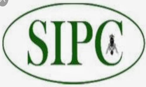 SouthIndiapest control Pvt Ltd., - Pest Control in Market Road, Mapusa