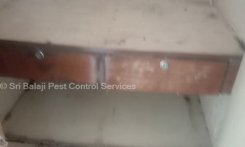 Sri Balaji Pest Control Services - Pest Control in R.A. Puram, Chennai