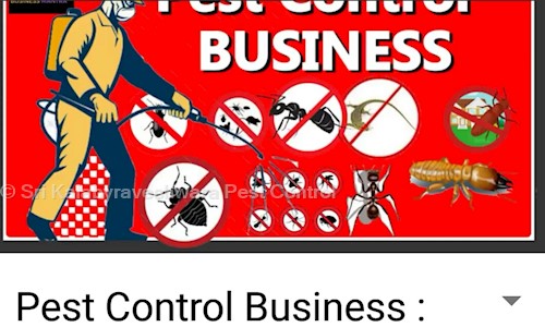 Sri Kalabyraveshwara Pest Control - Pest Control in Nayanda Halli, Bangalore