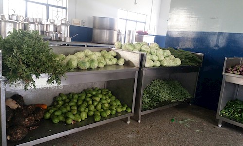Star Caterers - Catering Services in Maraimalai Nagar, Chennai