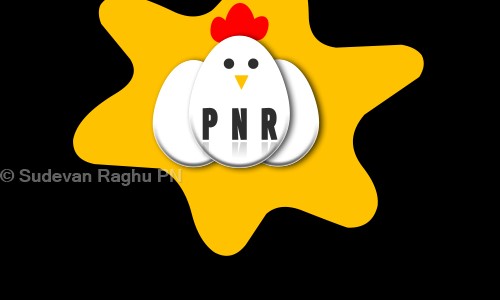 Sudevan Raghu PN - Packers and Movers in Saidapet, Chennai