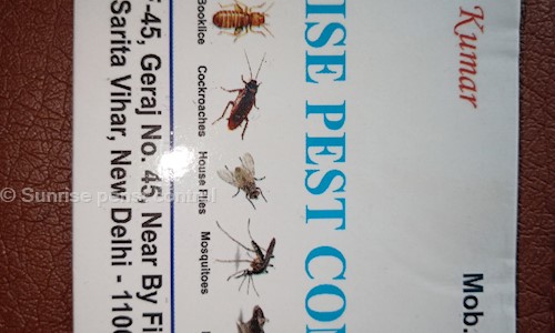 Sunrise penst control - Pest Control in Sarita Vihar, delhi