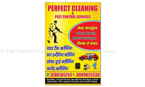 The Perfect Cleaning & Pest Control Services - Pest Control in Indira Nagar, Lucknow