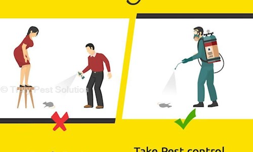 Truly Pest Solution Private Limited - Pest Control in Maheshpur, Varanasi
