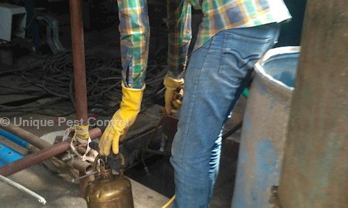 Unique pest control - Pest Control in Tandalja Road, Vadodara