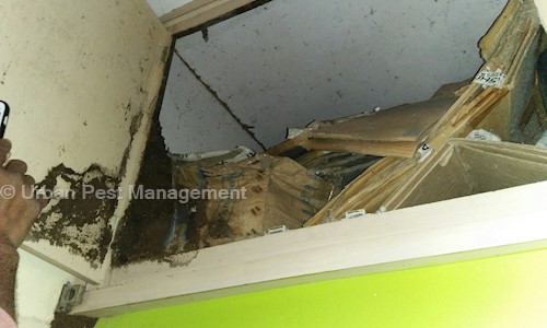 Urban Pest Management - Pest Control in Langar Houz, Hyderabad