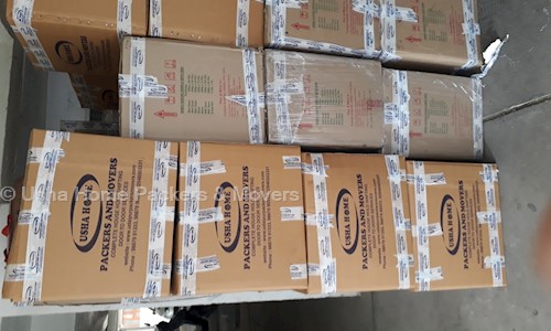 Usha Home Packers & Movers - Packers and Movers in Pratap Nagar, Udaipur