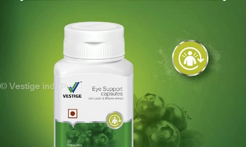 Vestige ind. Pvt.ltd - Job Training in Amravati Camp, Amravati