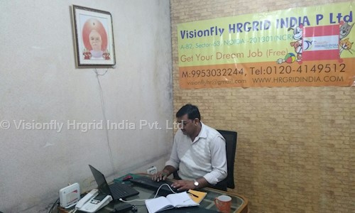 Visionfly Hrgrid India Pvt. Ltd. - Placement Consultancies in Sector 63, Noida