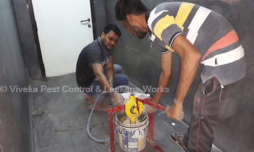 Viveka Pest Control & Leakage Works - Pest Control in Krishna Lanka, Vijayawada