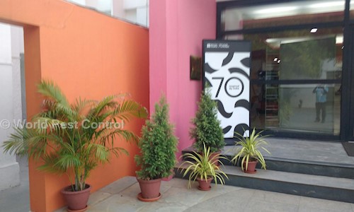 World Pest Control - Pest Control in Perungalathur, Chennai